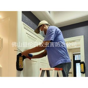 鼎湖住宅白蚁防治工程