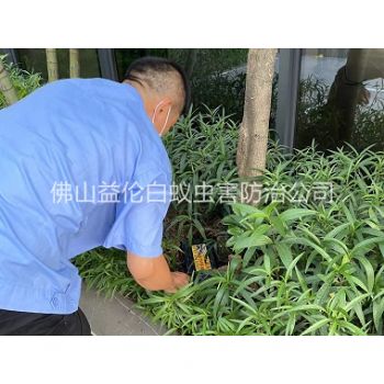 高要园林灭治白蚁工程