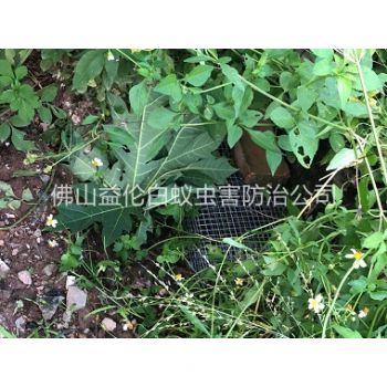 鼎湖住宅区处理蛇患工程